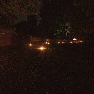 Bild 008