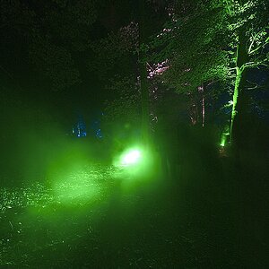 Bild 010