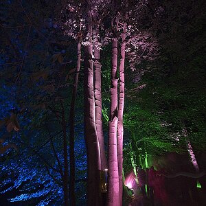 Bild 011