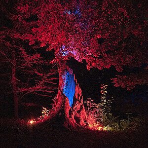 Bild 014