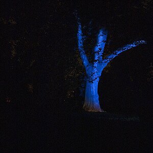 Bild 019