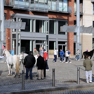 Dublin
Smithfield horse market