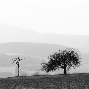 cR ungleiches Paar 4182