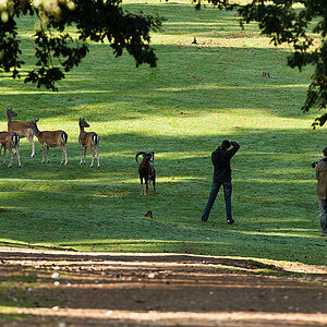 20090926 3295 [NIKON D2Xs]   300 mm  1 320 Sek. bei ƒ   4,5