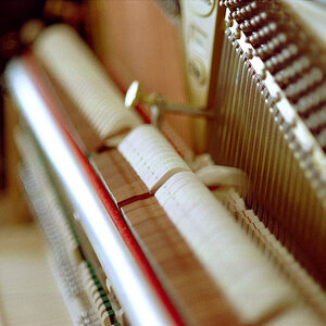 DOF 5
