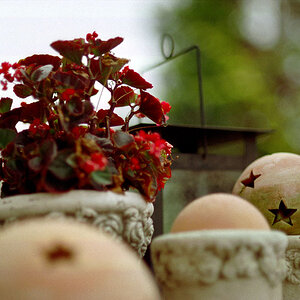 DOF 1