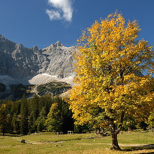 20091007 112943 Karwendel, kleiner Ahornboden