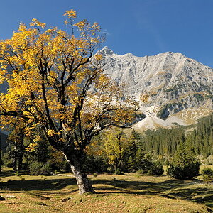 20091007 113910 Karwendel, kleiner Ahornboden
