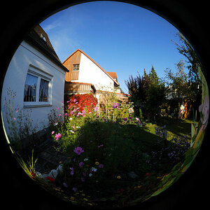 Fisheye