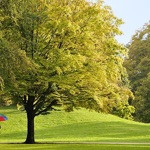 20090904 182026 NF F Muenchen