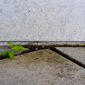 Leben im Beton