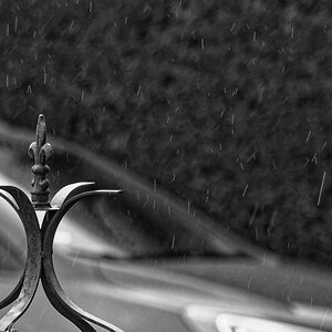 _3140030_DxOPASWxl.jpg