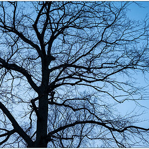 064 Schrevenpark
