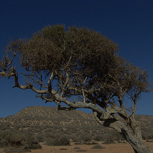 DSC05721-Bearbeitet.jpg