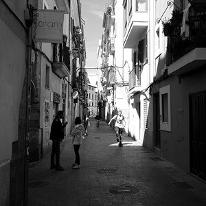 Palma.1.ff.jpg