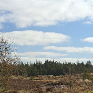 AZ7_0903.jpg