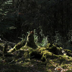 AZ7_0908.jpg