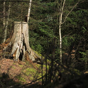 AZ7_0911.jpg