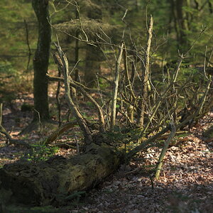 AZ7_0930.jpg