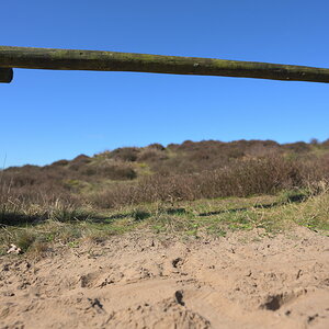 AZ7_0932.jpg