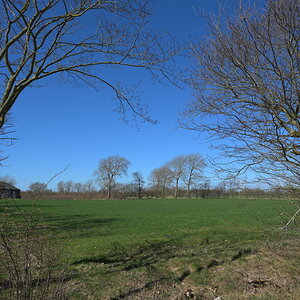 AZ7_0944.jpg