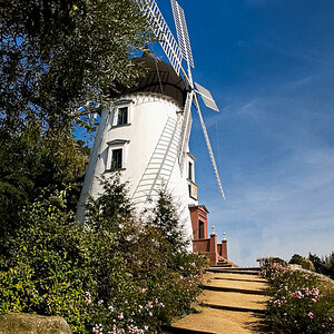 Schottische Windmühle Lady Devorgilla_.jpg