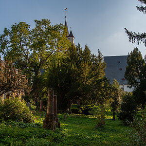 _DSC2862.jpg