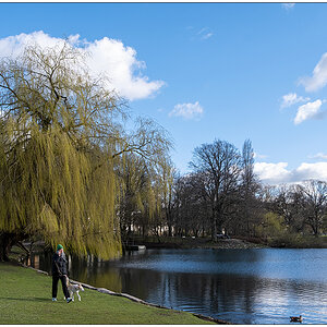 081 Sonntag mit Hund im Schrevenpark