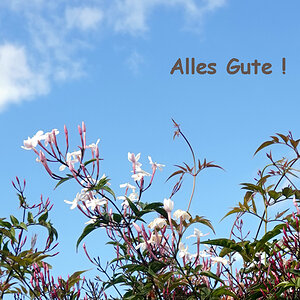 alles gute.ff.jpg