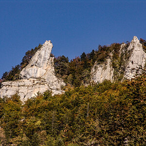 DSC09654.jpg