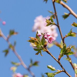 DSC_5865.jpg