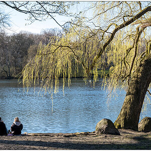 091 Im Schrevenpark