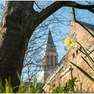 098 Frühling am Kieler Rathaus