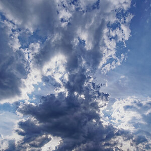 _EM50258_DxOxl.jpg