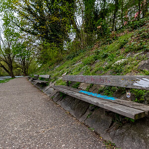 20230415-DSC_8324.jpg