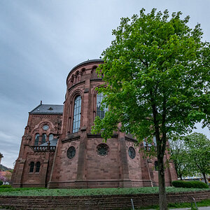 20230415-DSC_8308.jpg