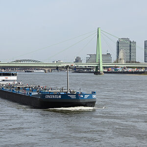 DSC_6062.JPG