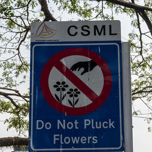 Do not pluck flowers.jpg