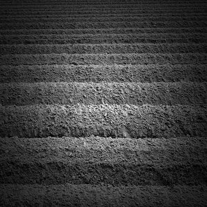 Kartoffeldämme BW 1.jpg