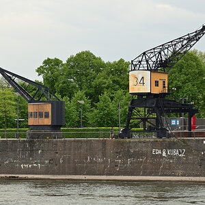 DSC_1009.JPG