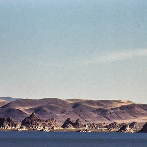 PA060219.jpg