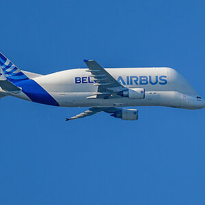 NZ9_5686_Beluga 4 _Airbustransport_IA_4_2023.jpg