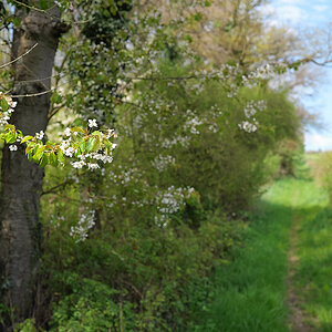 P1049293aklein.jpg