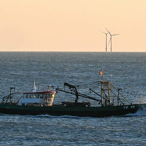 Fischtrawler vor der niederländischen Küste.jpg