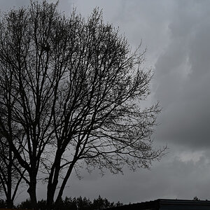 DSC_7447.jpg