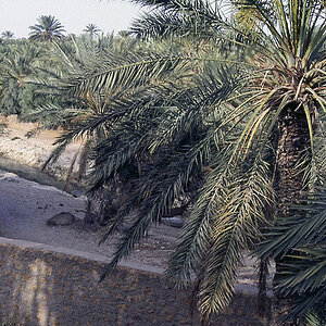 File0088.jpg