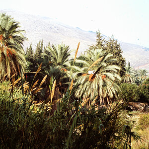 PICT1137.jpg