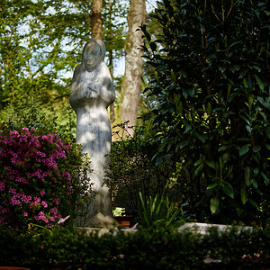 Z50_0498_DxO.jpg