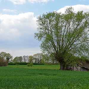 811_8392t10l10s50p1.jpg