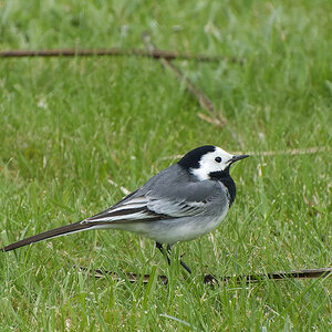 NIKON_2023_01227NF.jpg